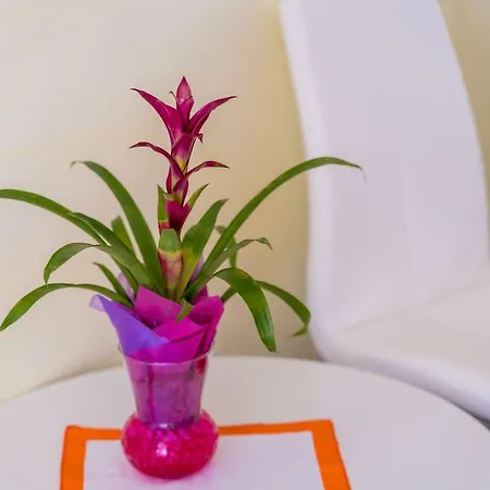 בית הארחה Katja & Lara דוברובניק